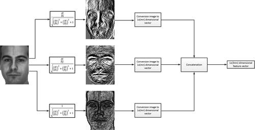 Use of gradient and normal vectors for face&nbsp;recognition
